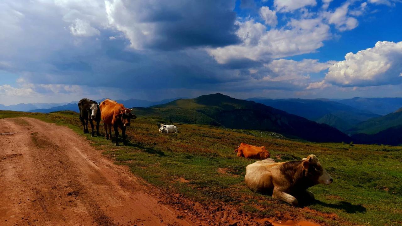 Etno Village Coric Mojkovac Exterior foto