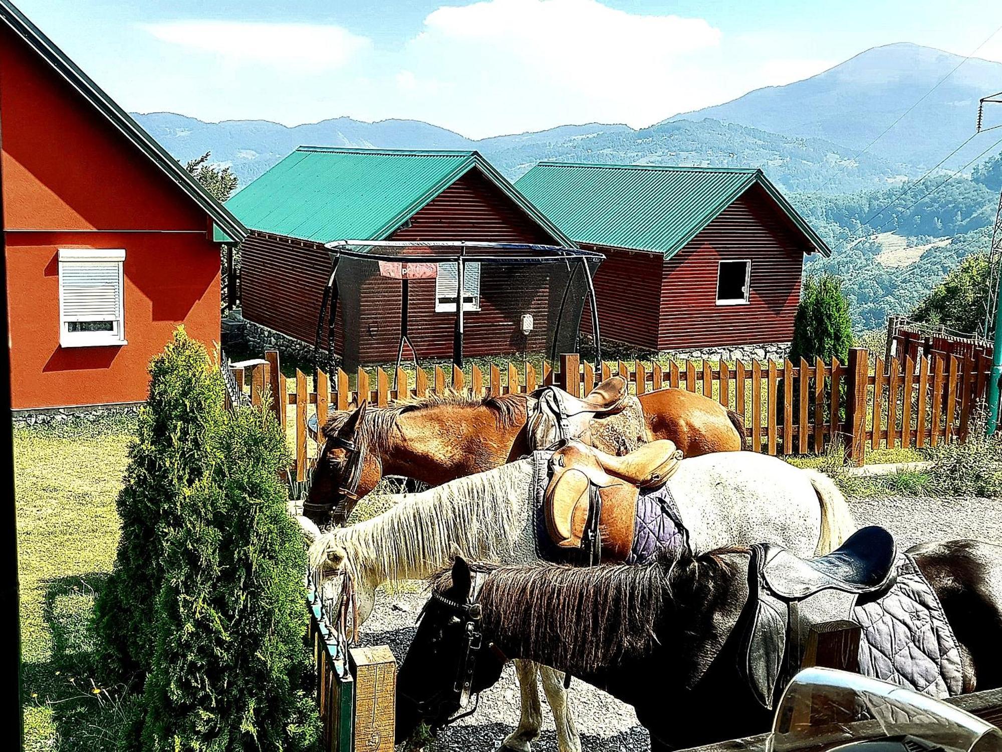 Etno Village Coric Mojkovac Exterior foto