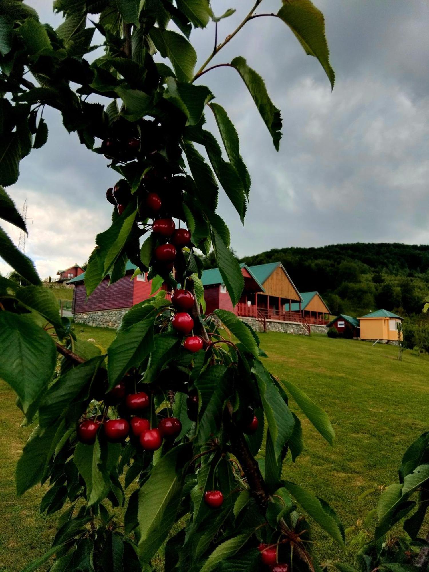 Etno Village Coric Mojkovac Exterior foto