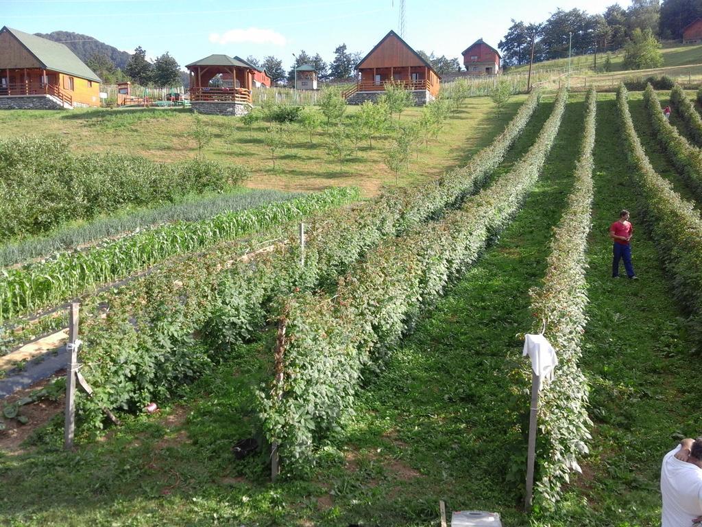 Eco Village Coric Mojkovac Exterior foto