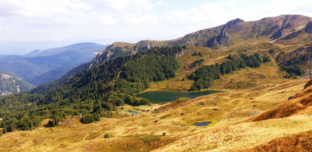 Eco Village Coric Mojkovac Exterior foto